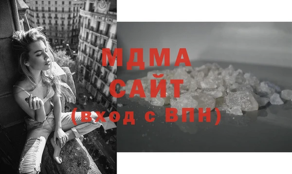 стаф Алзамай