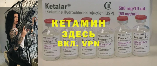 стаф Алзамай