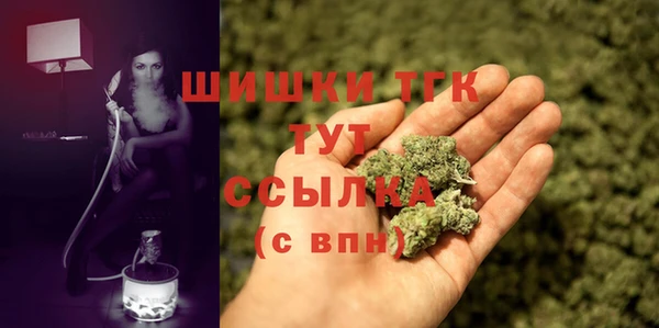 гашик Абаза