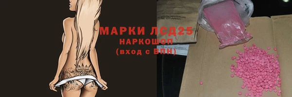 стаф Алзамай