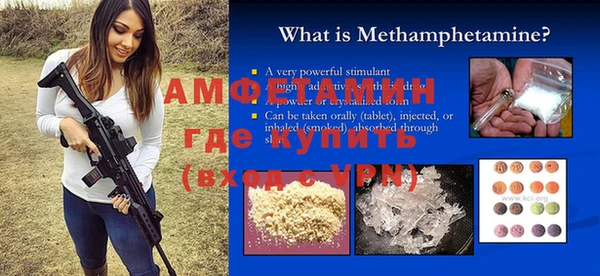 стаф Алзамай